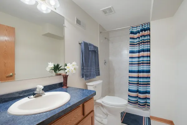 a bathroom with a sink a toilet a shower and a mirror