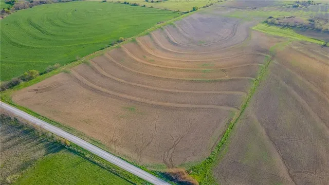 a view of a garden with a staircase