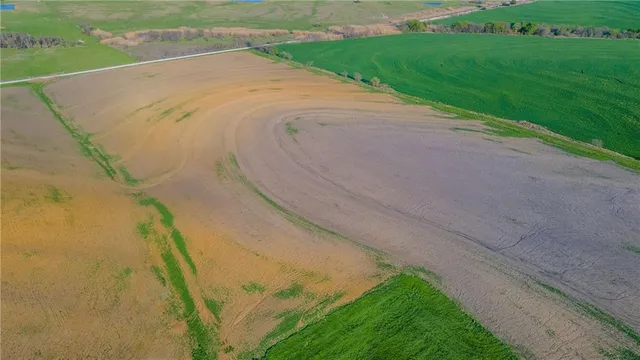 a view of a yard with a trees