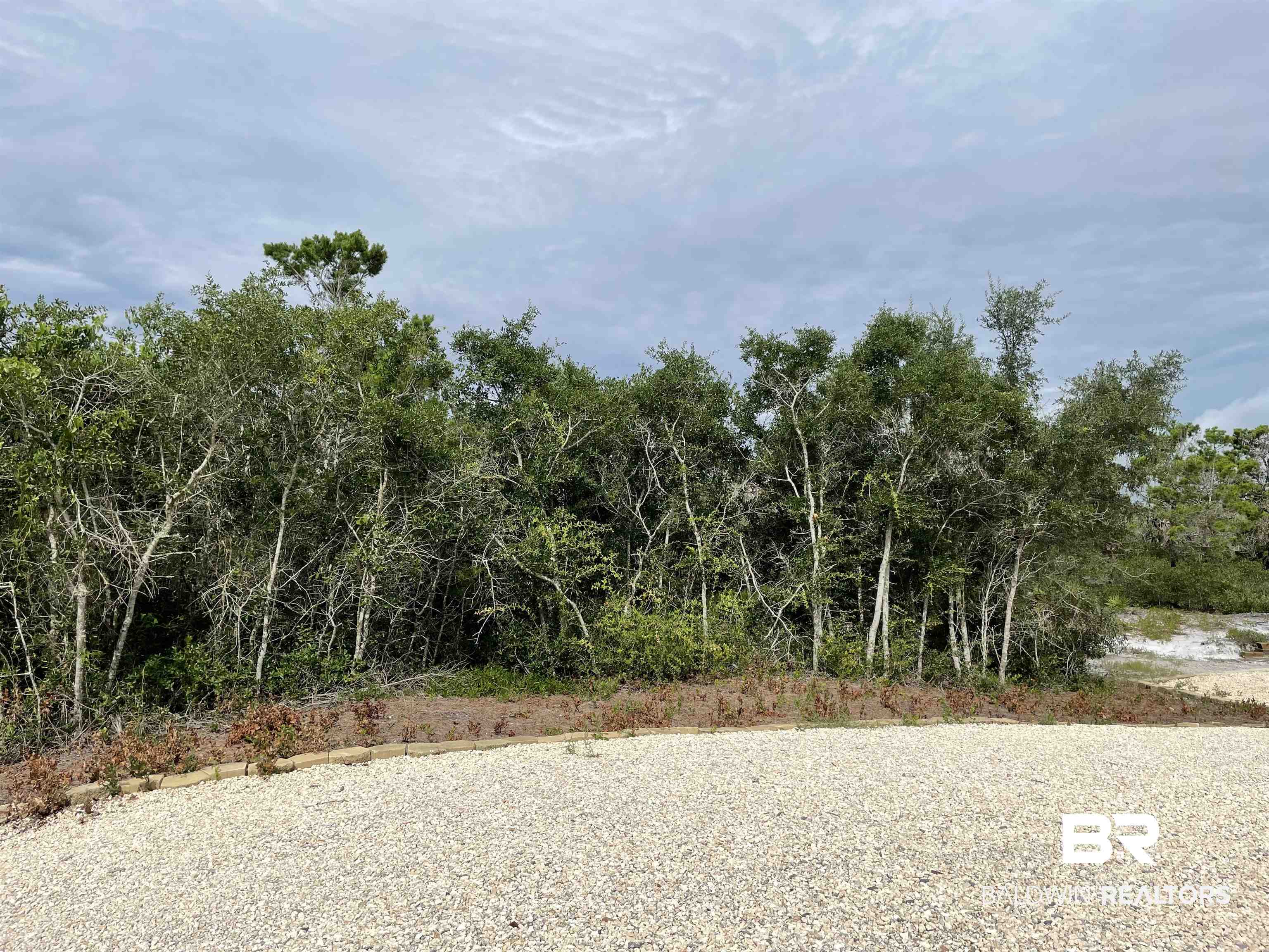 Lot 140-0 River Road Orange Beach, AL 36561 - Photo 2 of 4