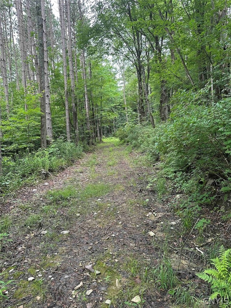 1501 Old State Road Colesville, NY 13833 - Photo 25 of 28