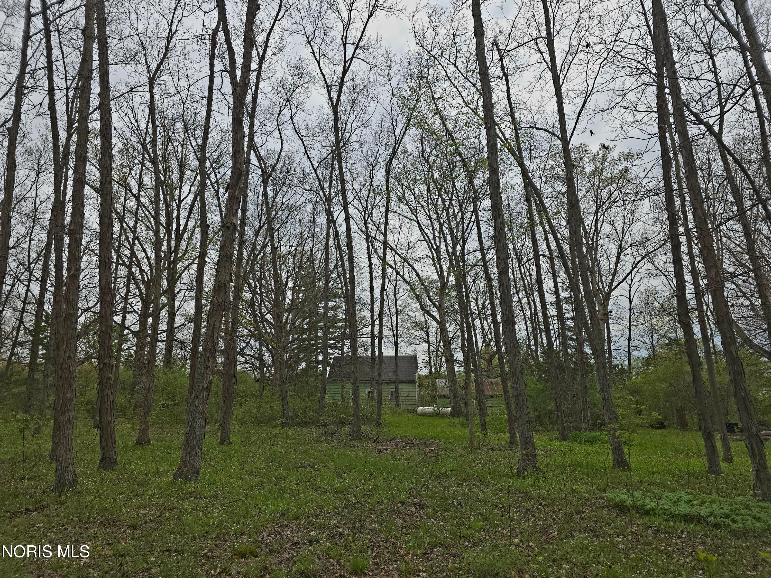 21549 Bowman Road Defiance, OH 43512 - Photo 3 of 5 20260427_141539
