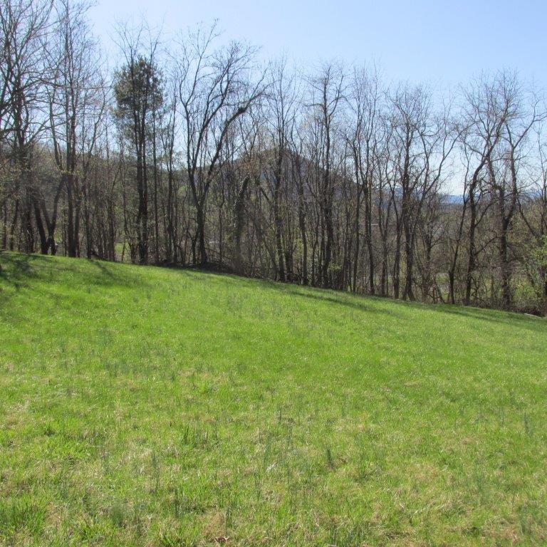 2048 Riverdale Road Southeast Roanoke, VA 24014 - Photo 1 of 5 a view of a yard with trees in the background