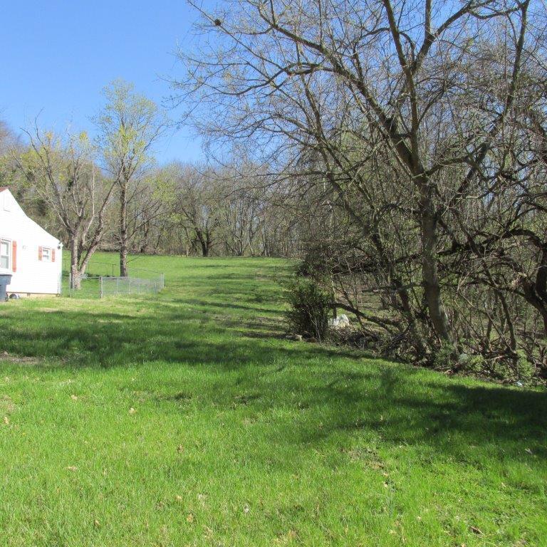 2048 Riverdale Road Southeast Roanoke, VA 24014 - Photo 2 of 5 a view of a park with large trees