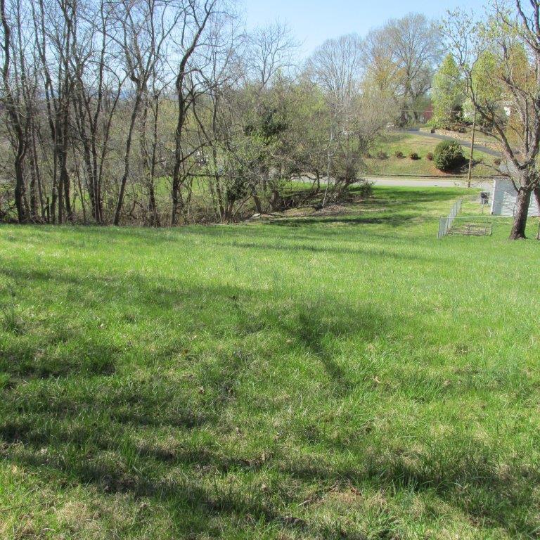 2048 Riverdale Road Southeast Roanoke, VA 24014 - Photo 4 of 5 a view of a field with trees
