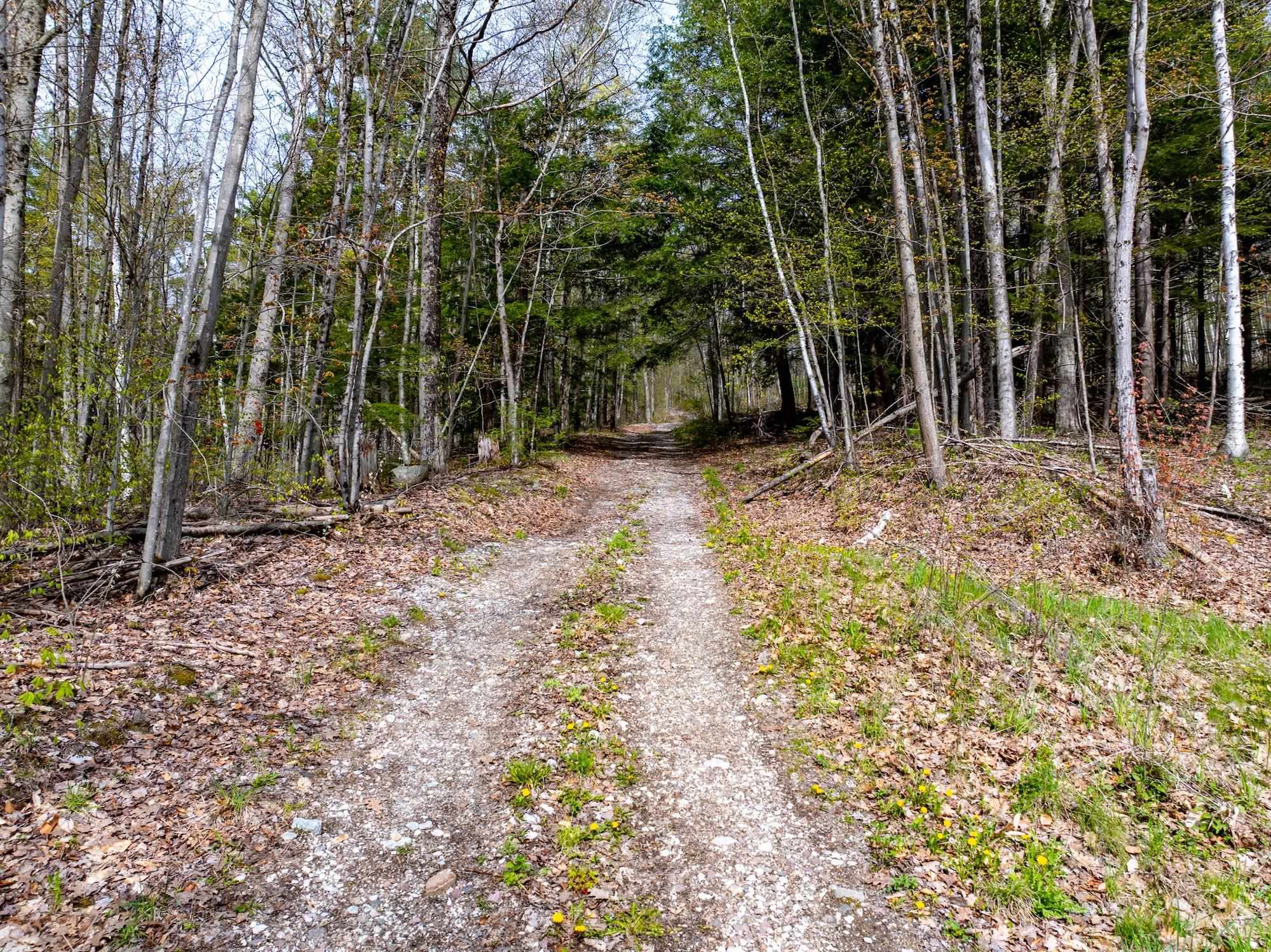476 Lincoln Road Williston, VT 05495 - Photo 17 of 29
