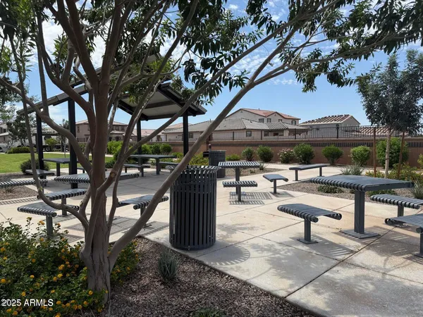 a view of a park with plants and a bench