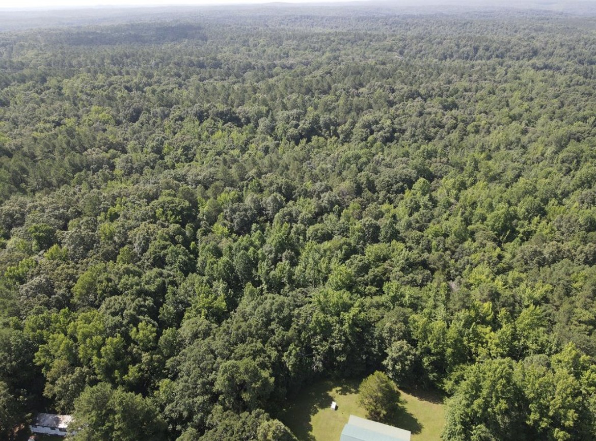 4875 Dollar Road Buena Vista, TN 38318 - Photo 25 of 29 an aerial view of house with yard