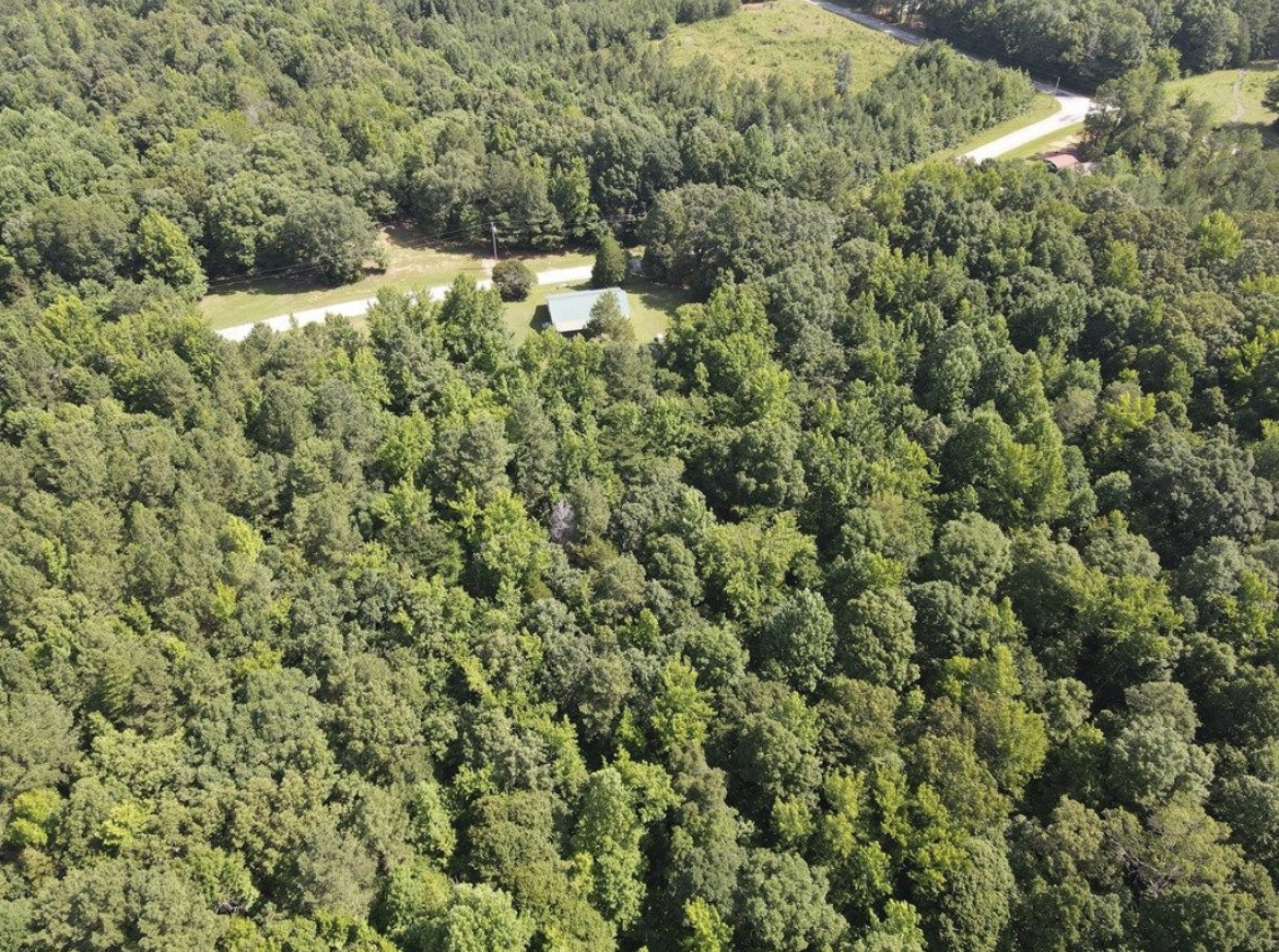 4875 Dollar Road Buena Vista, TN 38318 - Photo 27 of 29 a view of a forest with a building