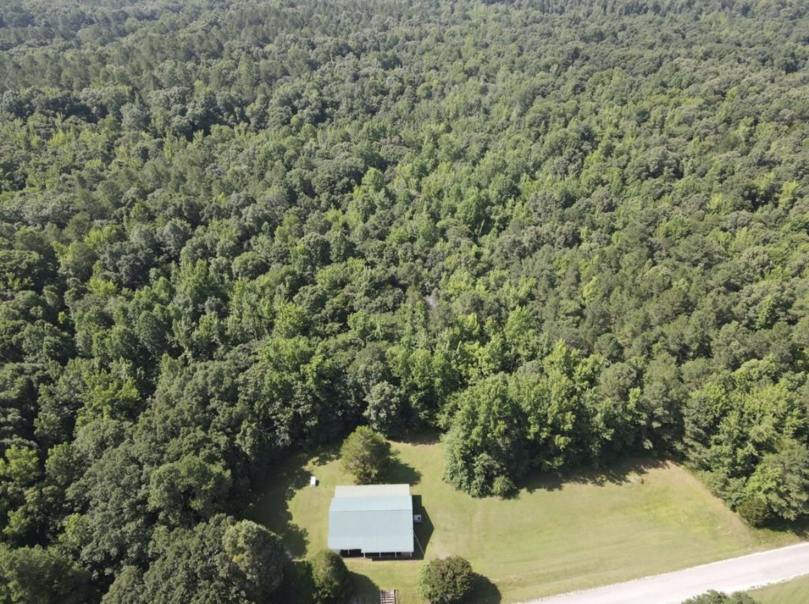 4875 Dollar Road Buena Vista, TN 38318 - Photo 29 of 29