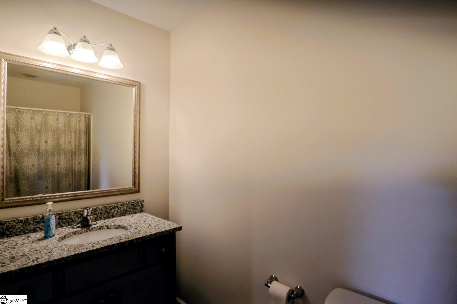 418 Icebow Road Fountain Inn, SC 29644 - Photo 13 of 17