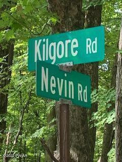 Kilgore Road Newfoundland, PA 18445 - Photo 3 of 7
