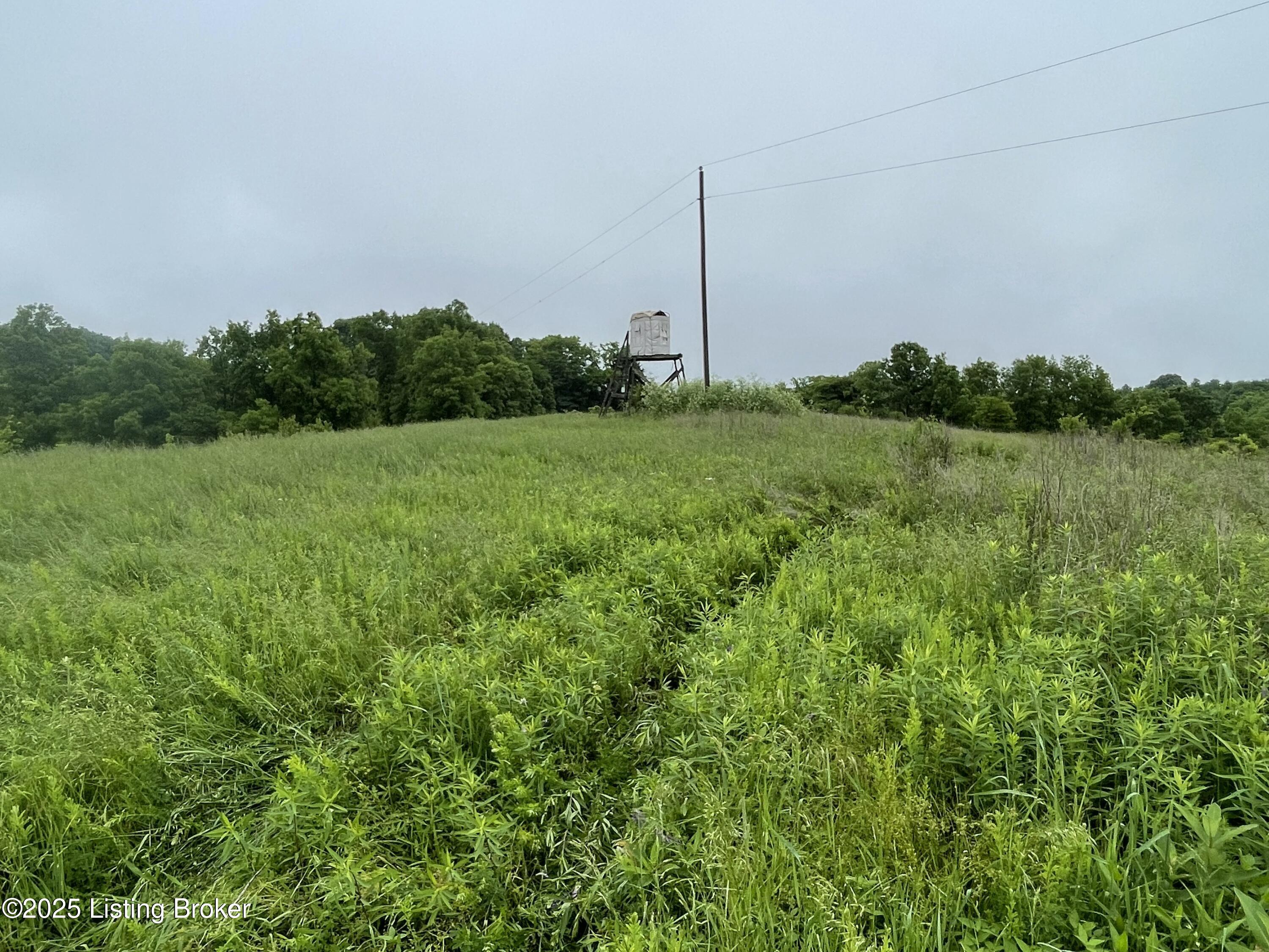 84-ac Long Road Lawrenceburg, KY 40342 - Photo 11 of 15 11