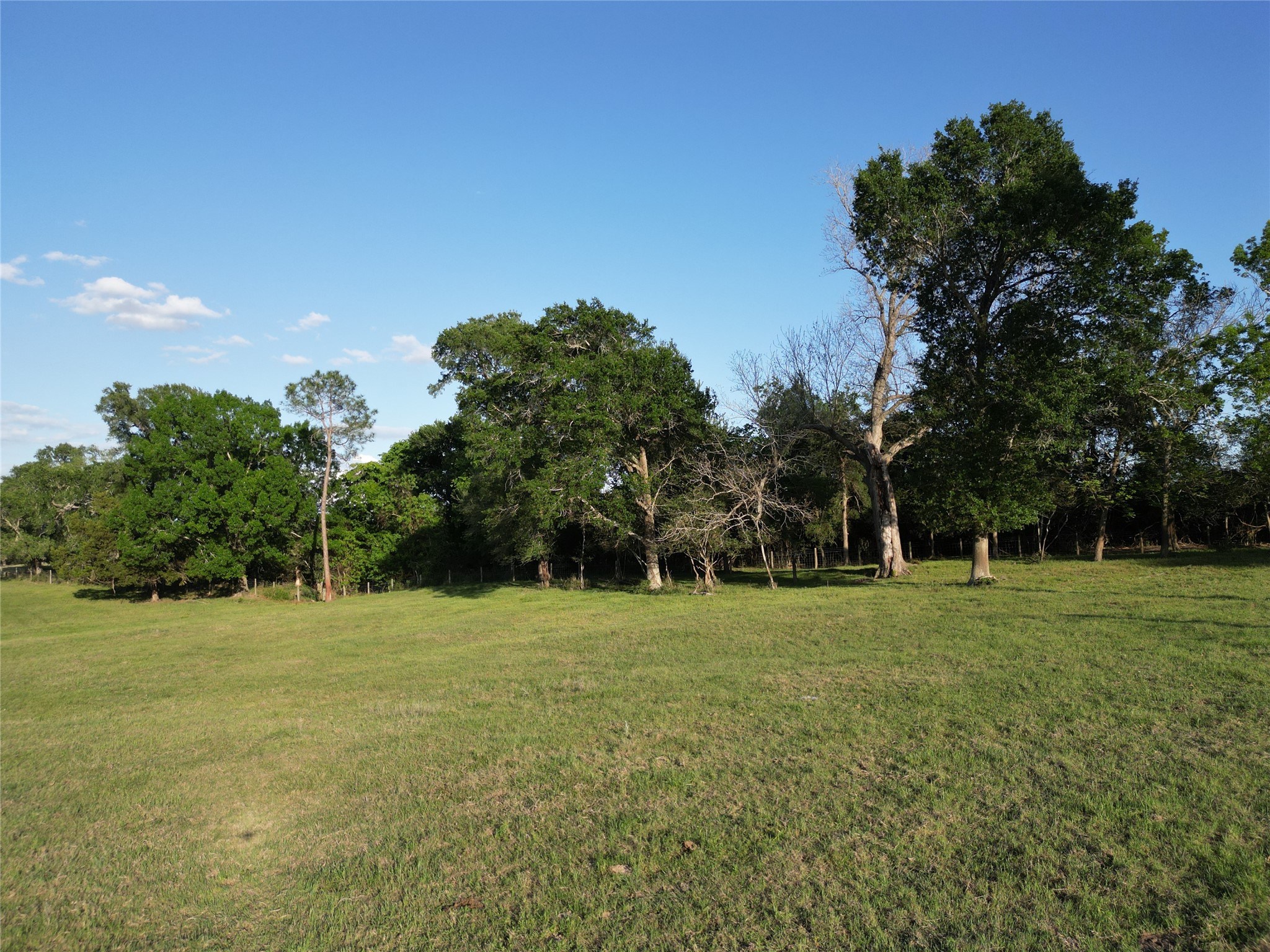 2525 North Meyersville Road Brenham, TX 77833 - Photo 11 of 22