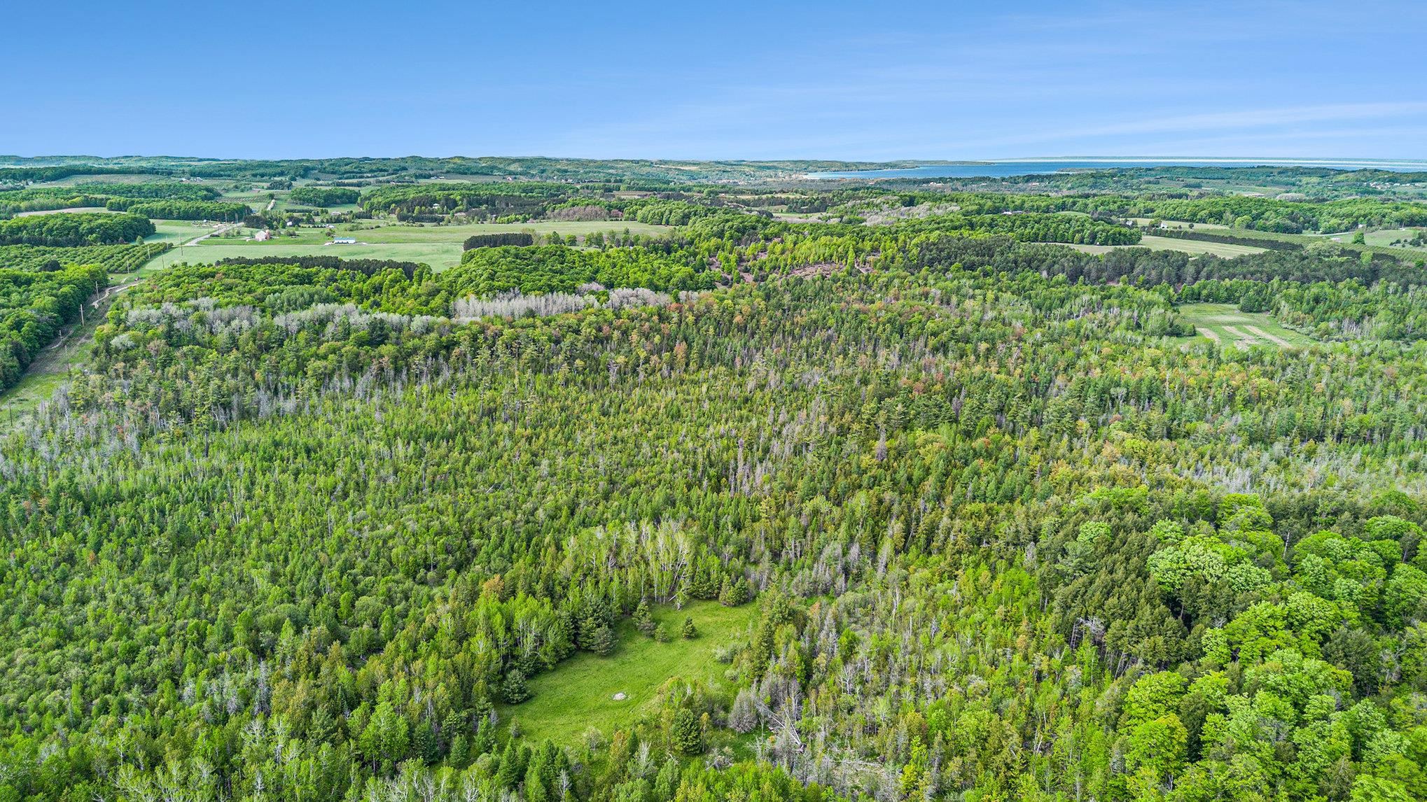 90-acres East Otto Road Suttons Bay, MI 49682 - Photo 57 of 68 Gallery Image 57