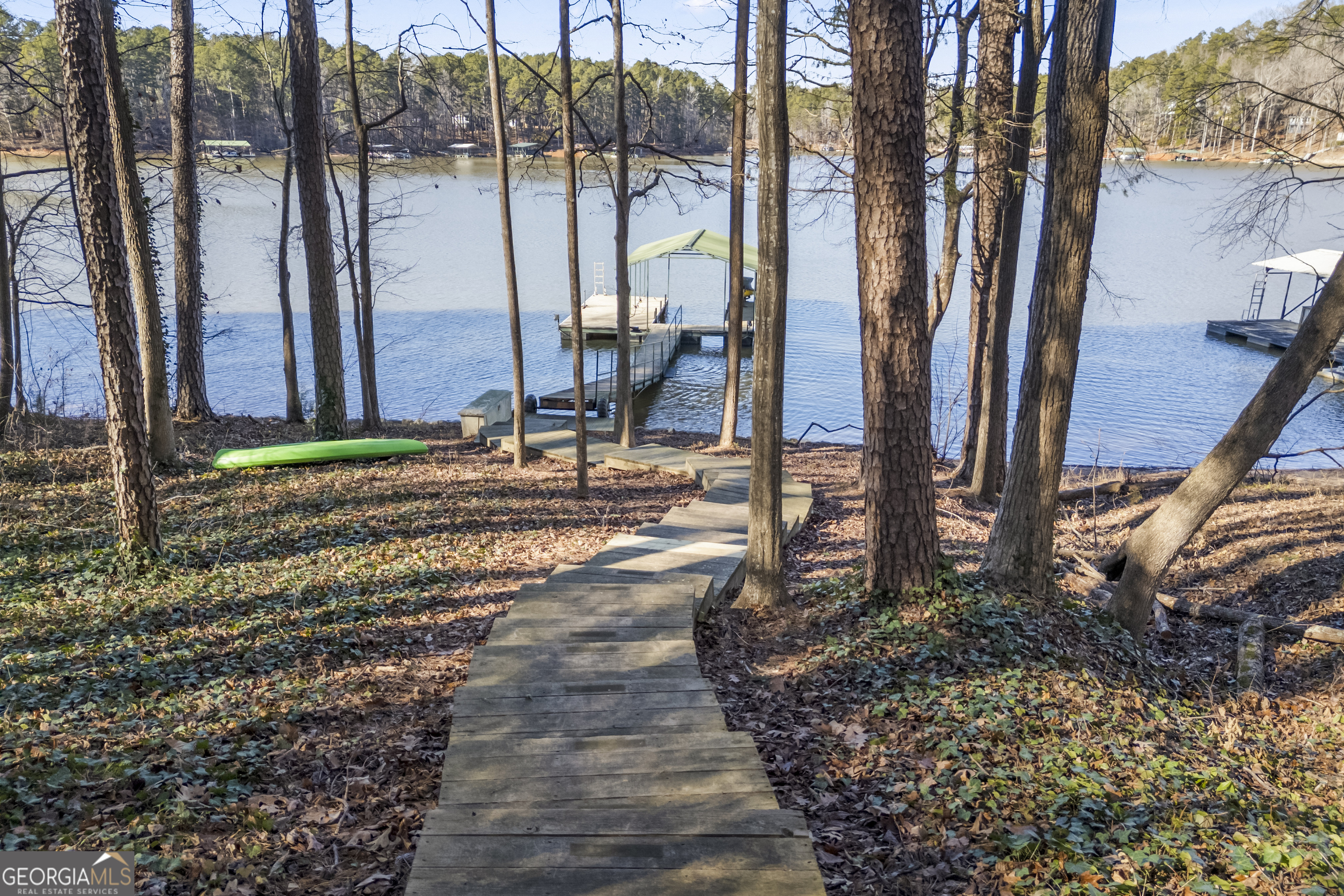 59 Waters Edge Extension Martin, GA 30557 - Photo 7 of 48 a view of a backyard with potted plants