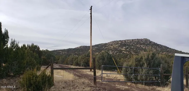 a backyard of a house