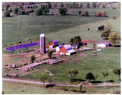 45 State Road Long Lane, MO 65590 - Photo 1 of 1 Primary Photo