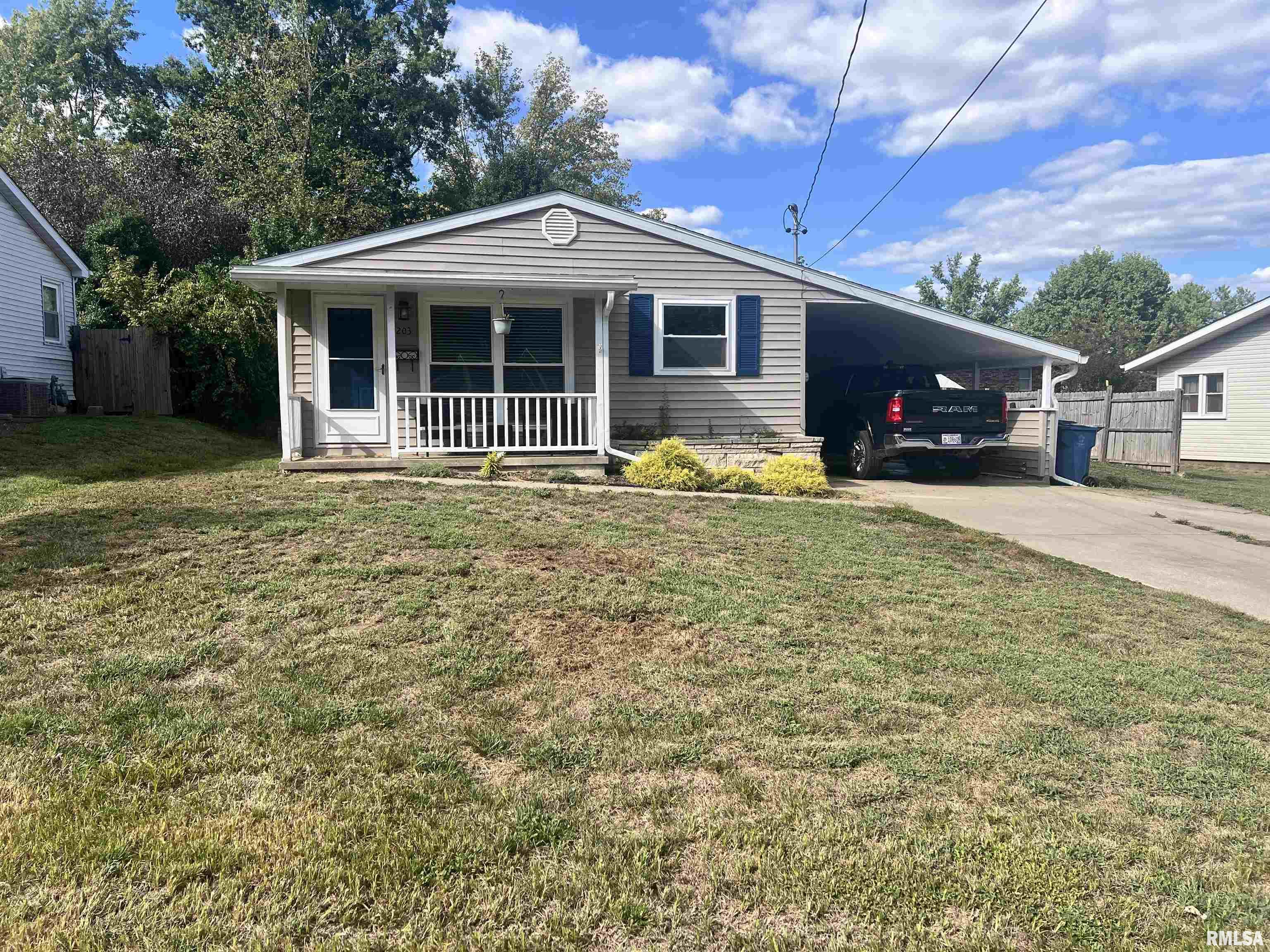 203 Plum Street Anna, IL 62906 - Photo 1 of 19