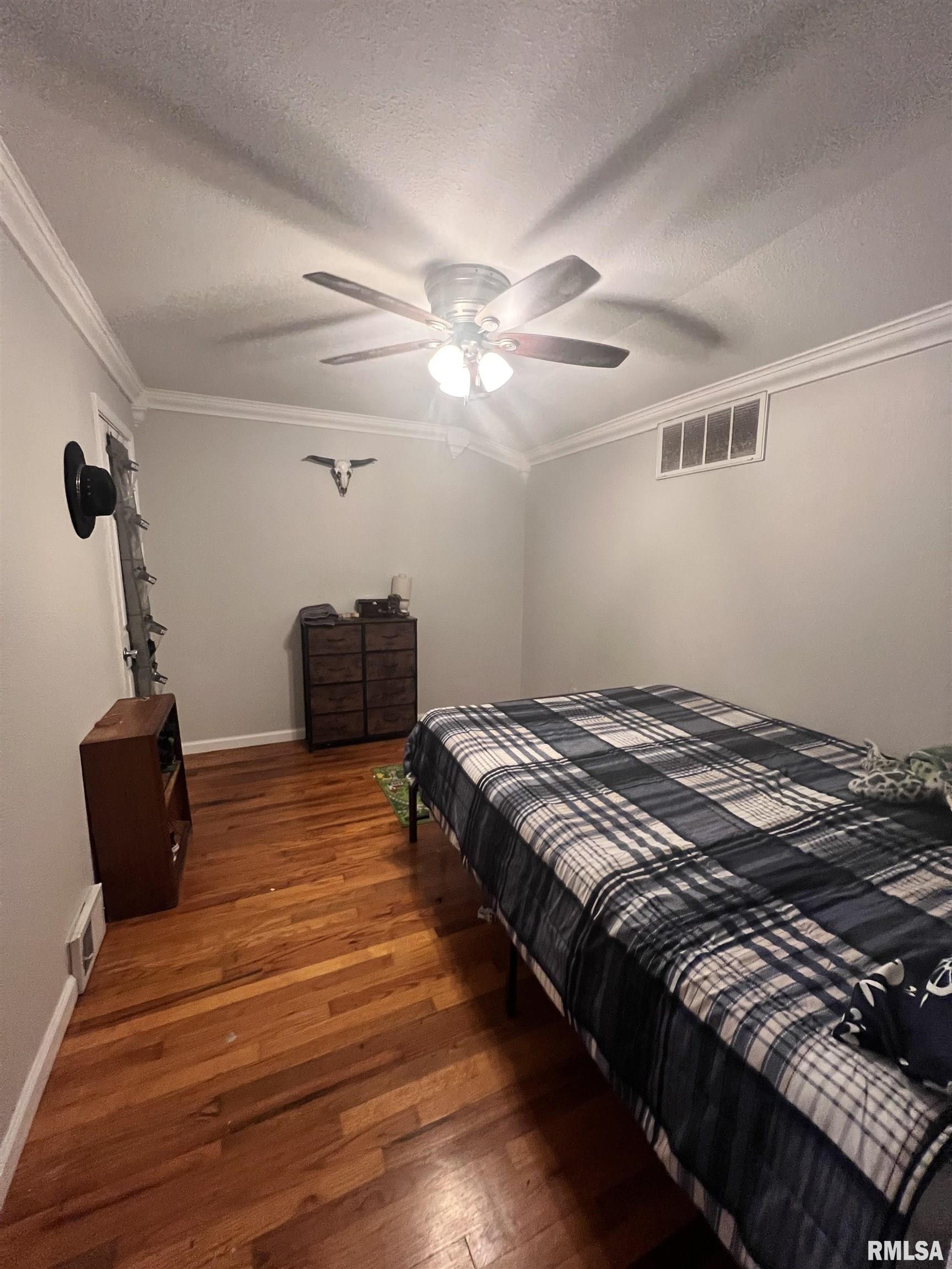 203 Plum Street Anna, IL 62906 - Photo 12 of 19