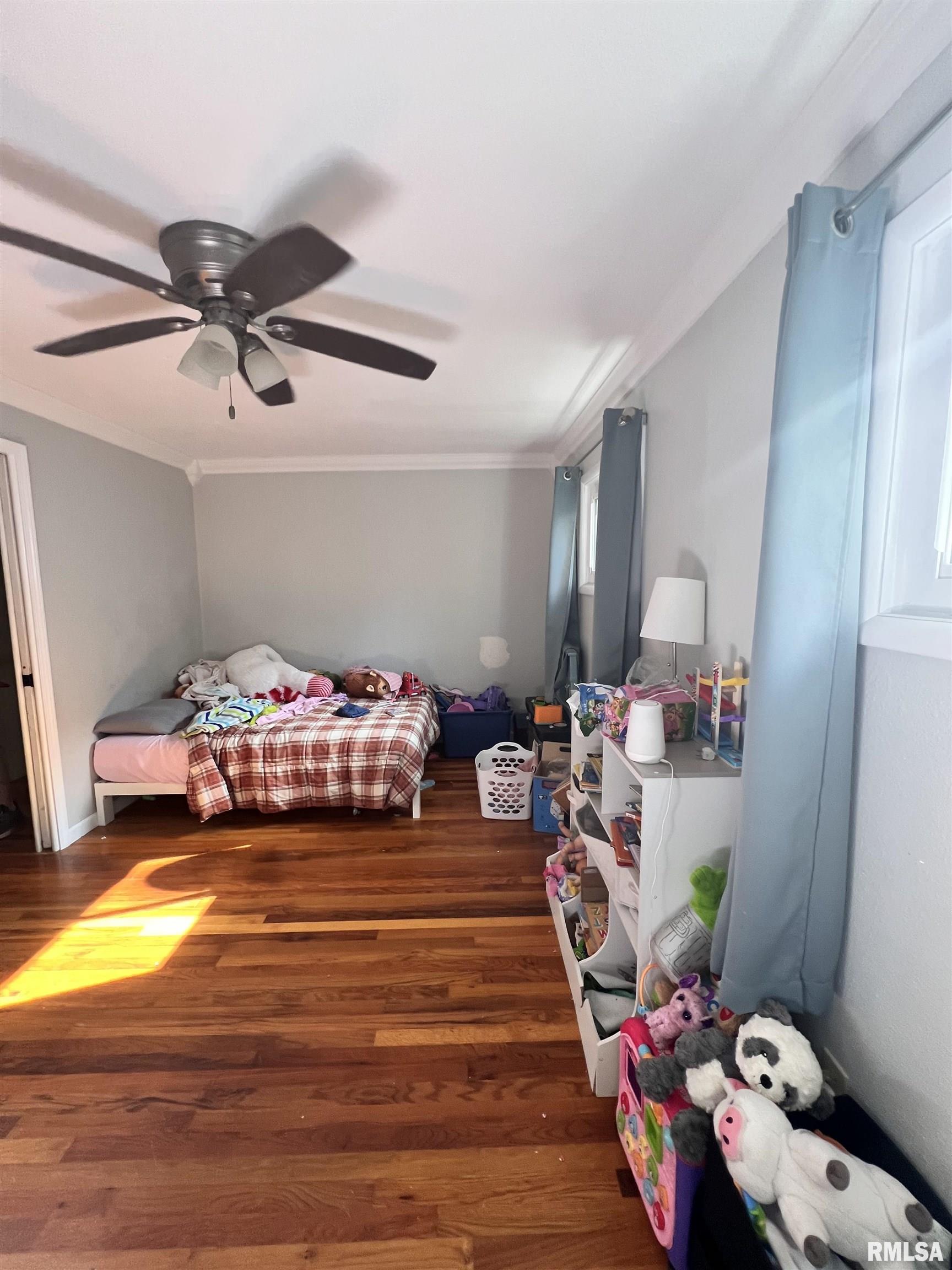 203 Plum Street Anna, IL 62906 - Photo 13 of 19