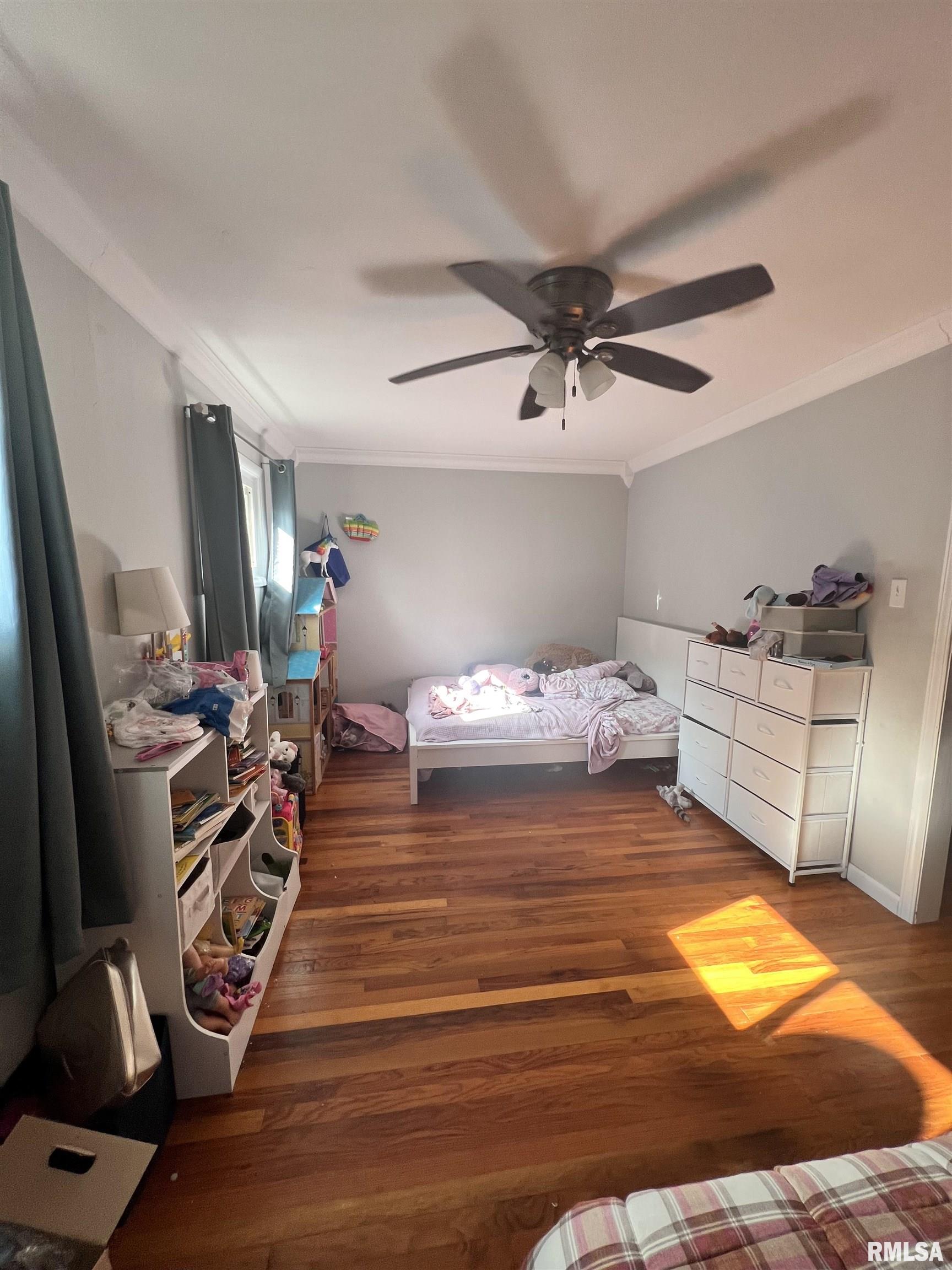 203 Plum Street Anna, IL 62906 - Photo 14 of 19