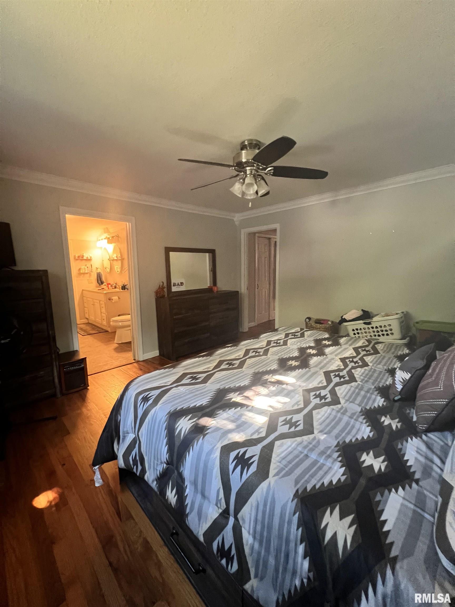 203 Plum Street Anna, IL 62906 - Photo 17 of 19