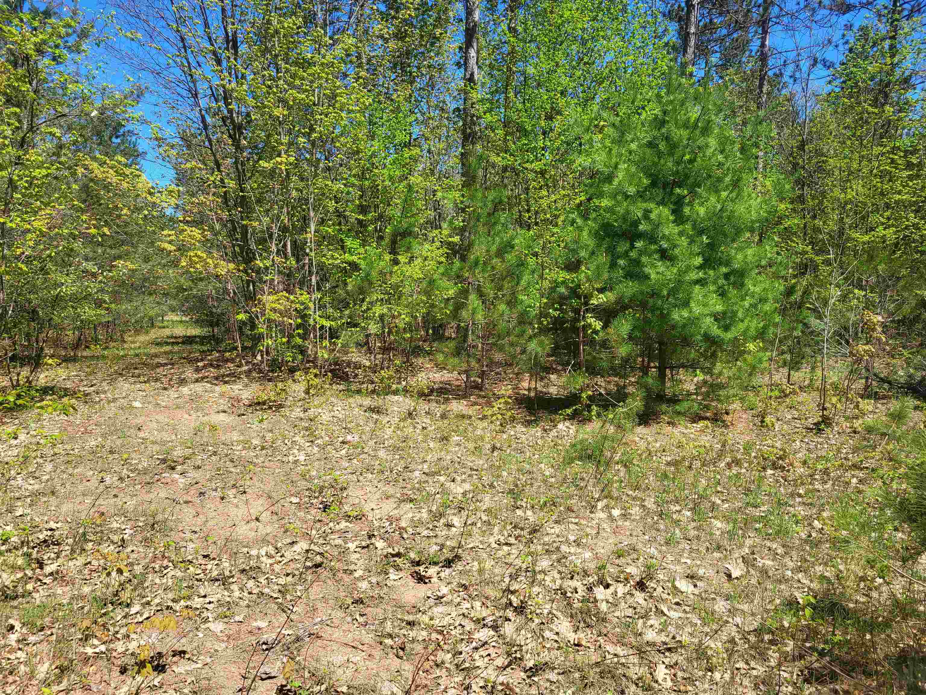 0 North Hulbert Road Lake Ann, MI 49650 - Photo 3 of 14