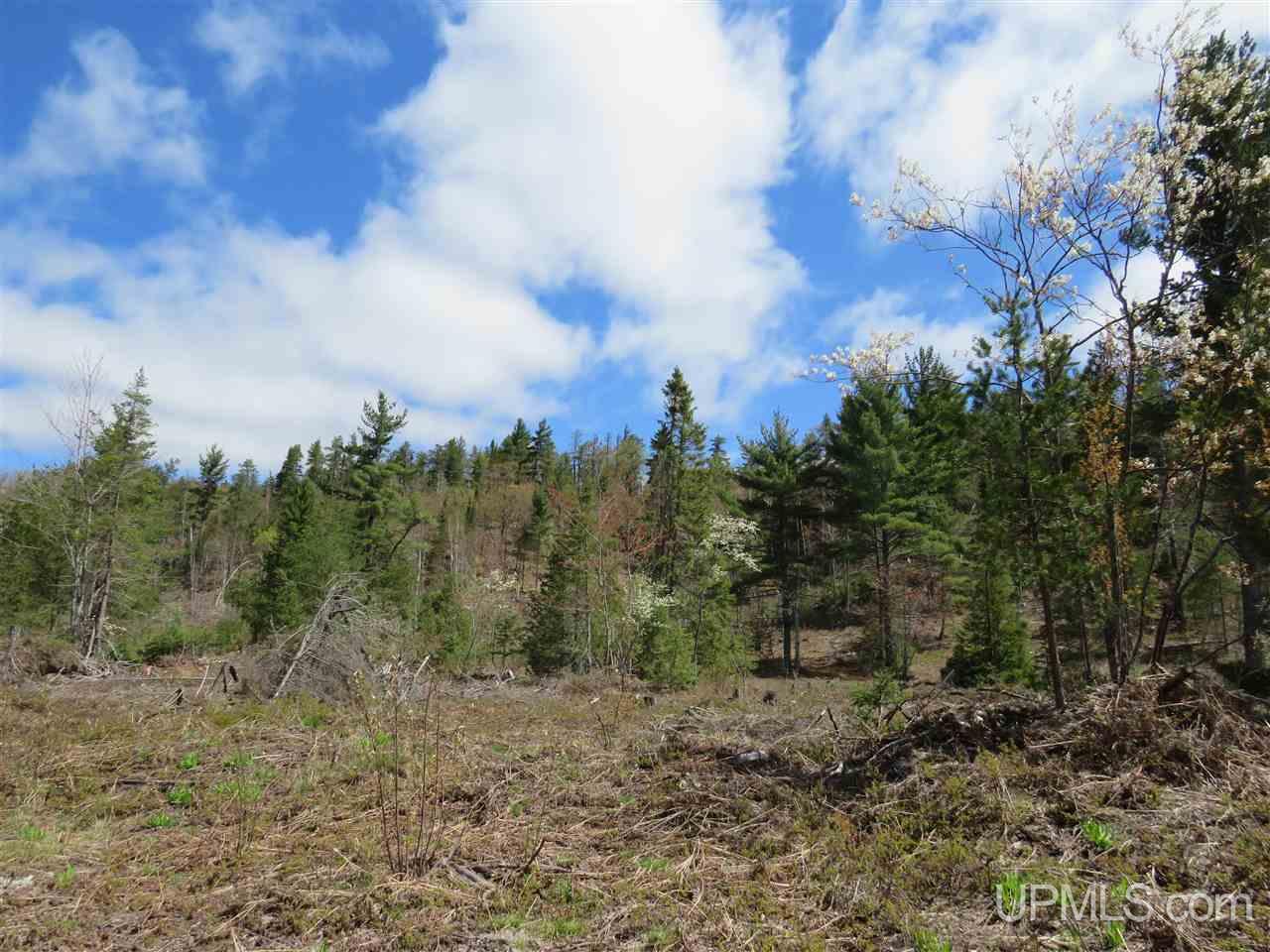 Tbd Tbd Off The Boise Route Road Negaunee, MI 49866 - Photo 26 of 45
