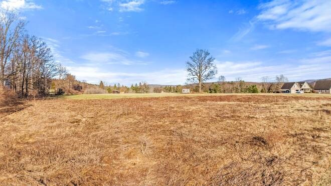 L43.3 Fairway Court Afton, NY 13730 - Photo 7 of 18