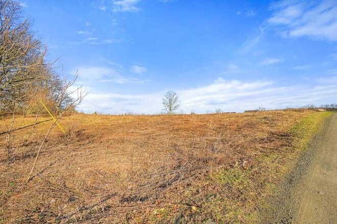 L43.3 Fairway Court Afton, NY 13730 - Photo 8 of 18