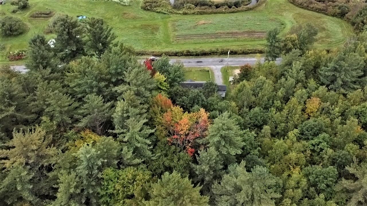 99 Gherardi Road Pike, NH 03780 - Photo 4 of 40