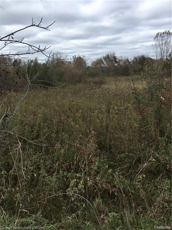 2 Braden Road Perry, MI 48872 - Photo 5 of 6