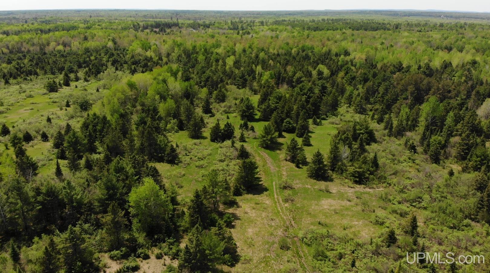 15467 Larson Road Bruce Crossing, MI 49912 - Photo 34 of 44