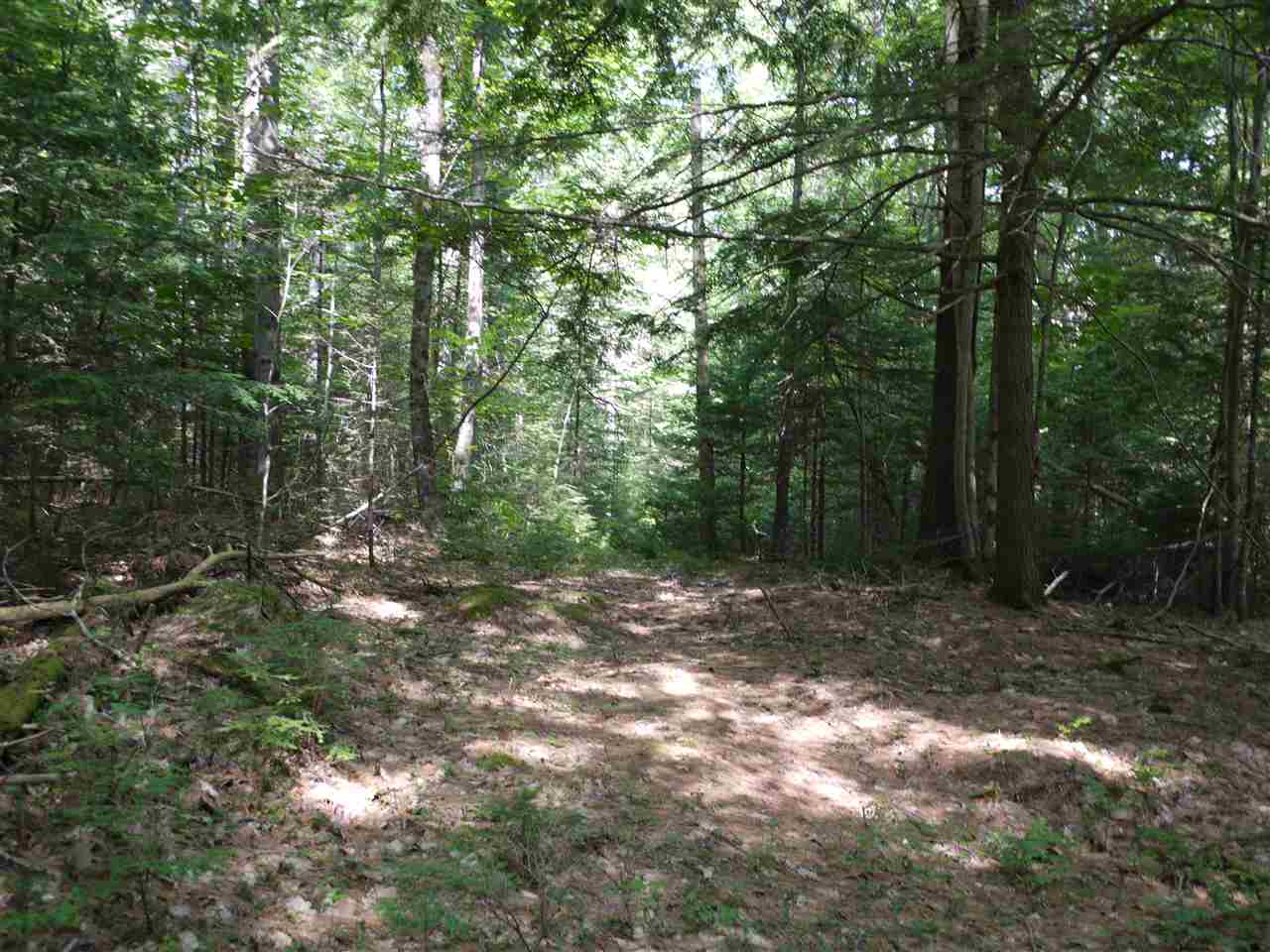 0 Bean Hill Road Rindge, NH 03461 - Photo 14 of 23