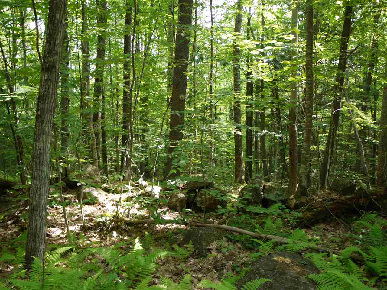 0 Bean Hill Road Rindge, NH 03461 - Photo 3 of 23