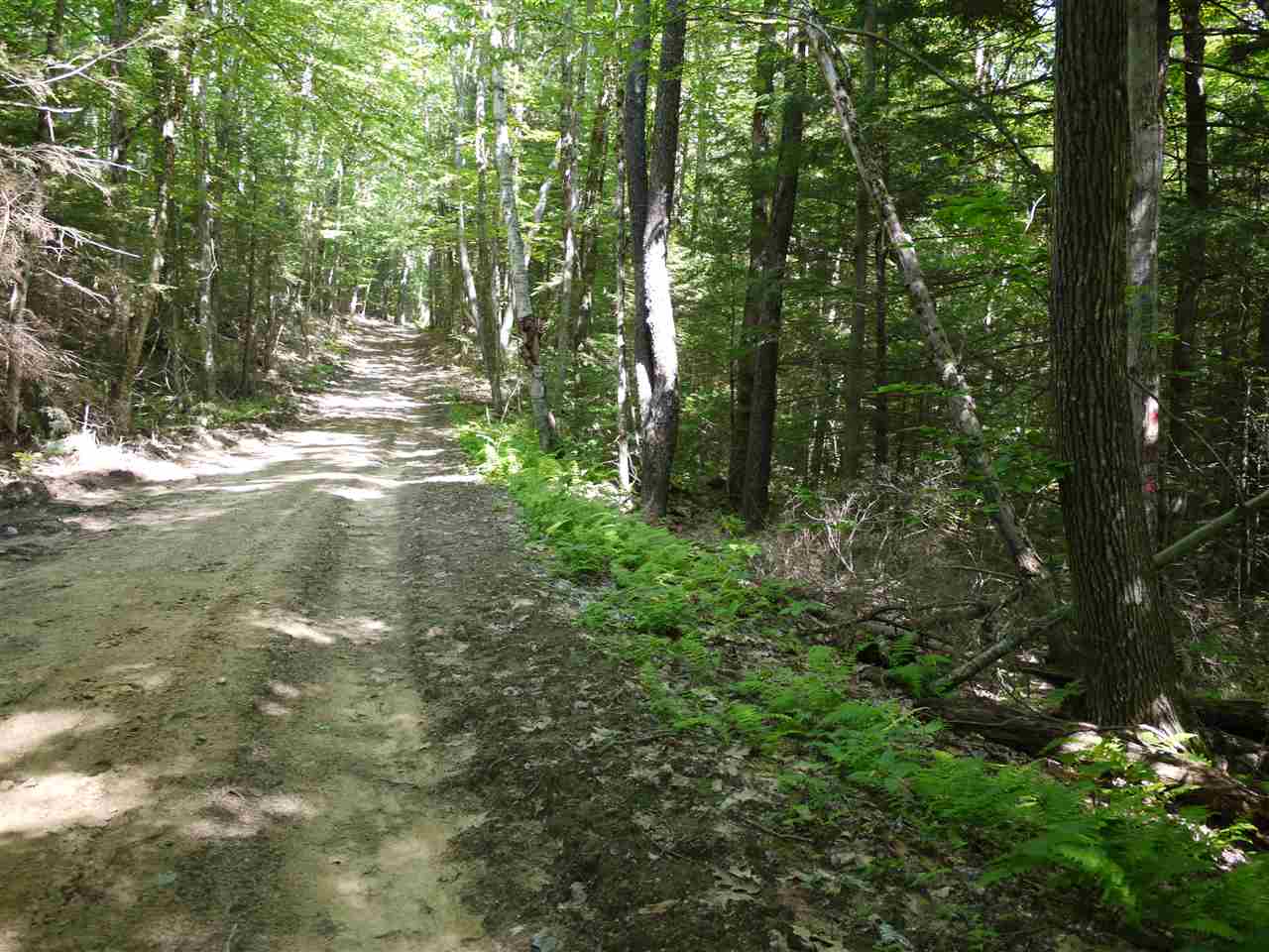 0 Bean Hill Road Rindge, NH 03461 - Photo 22 of 23