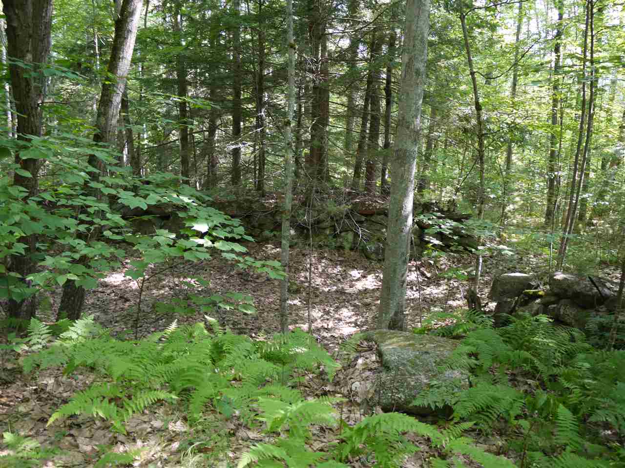 0 Bean Hill Road Rindge, NH 03461 - Photo 7 of 23