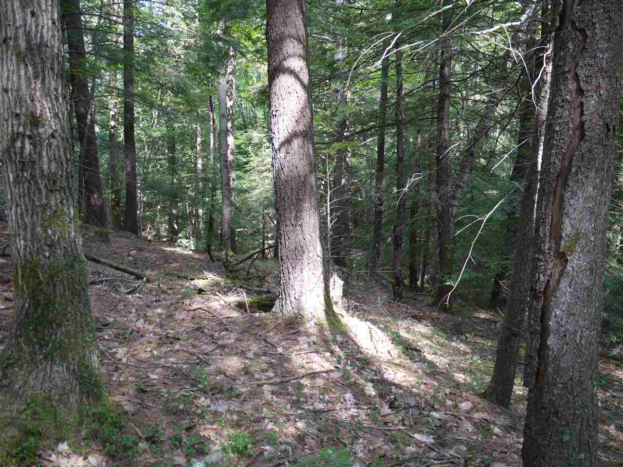 0 Bean Hill Road Rindge, NH 03461 - Photo 8 of 23