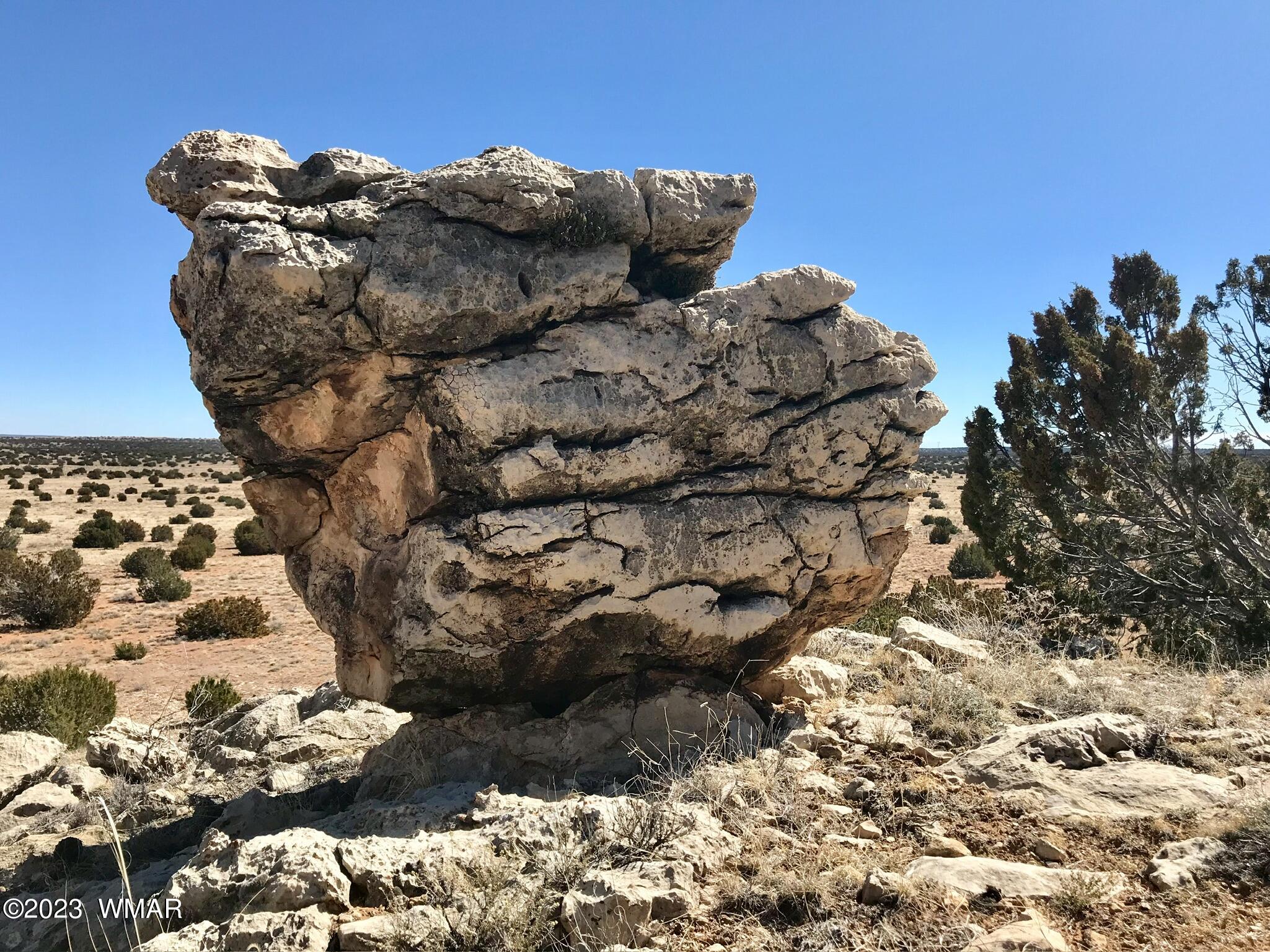 1 T14n R16e:nw4 Ne4 Heber, AZ 85928 - Photo 11 of 18