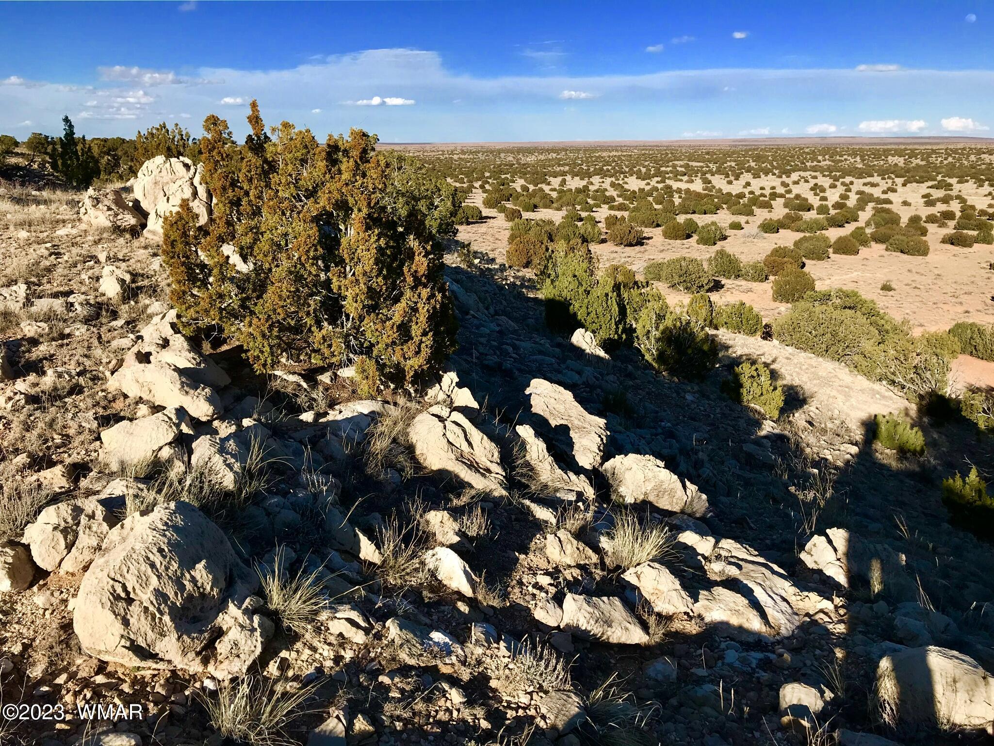 1 T14n R16e:nw4 Ne4 Heber, AZ 85928 - Photo 12 of 18