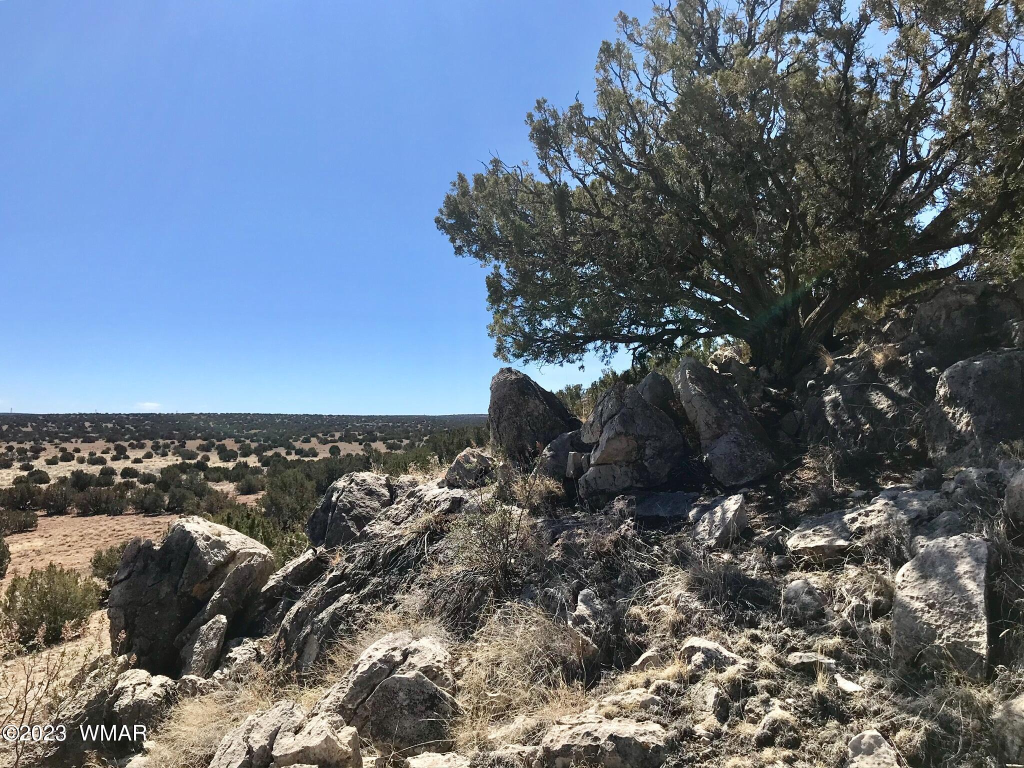 1 T14n R16e:nw4 Ne4 Heber, AZ 85928 - Photo 13 of 18