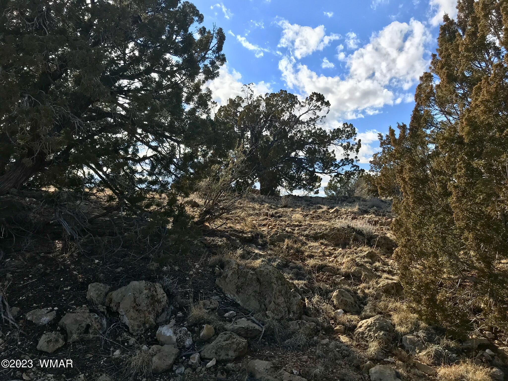 1 T14n R16e:nw4 Ne4 Heber, AZ 85928 - Photo 15 of 18