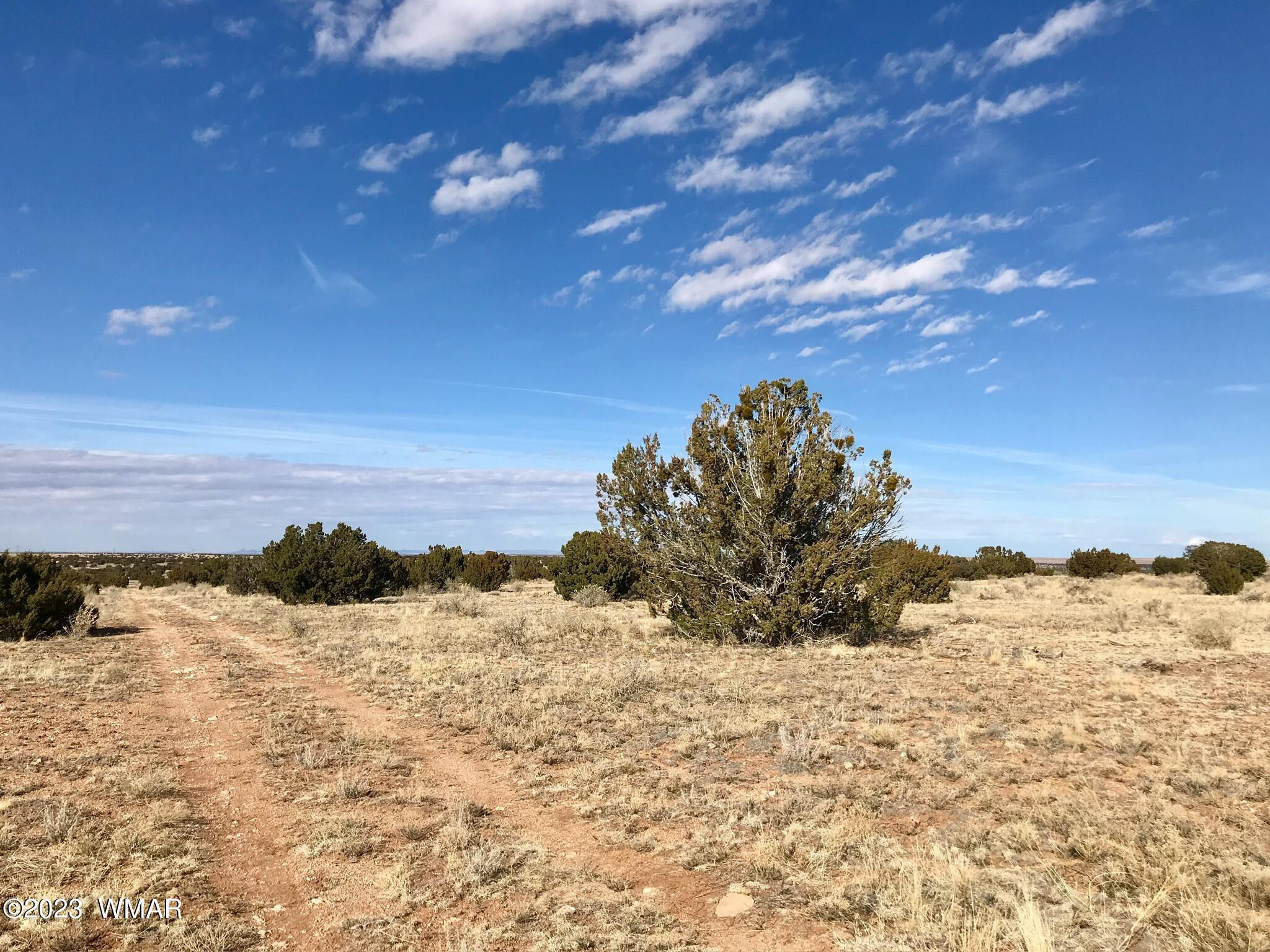 1 T14n R16e:nw4 Ne4 Heber, AZ 85928 - Photo 17 of 18