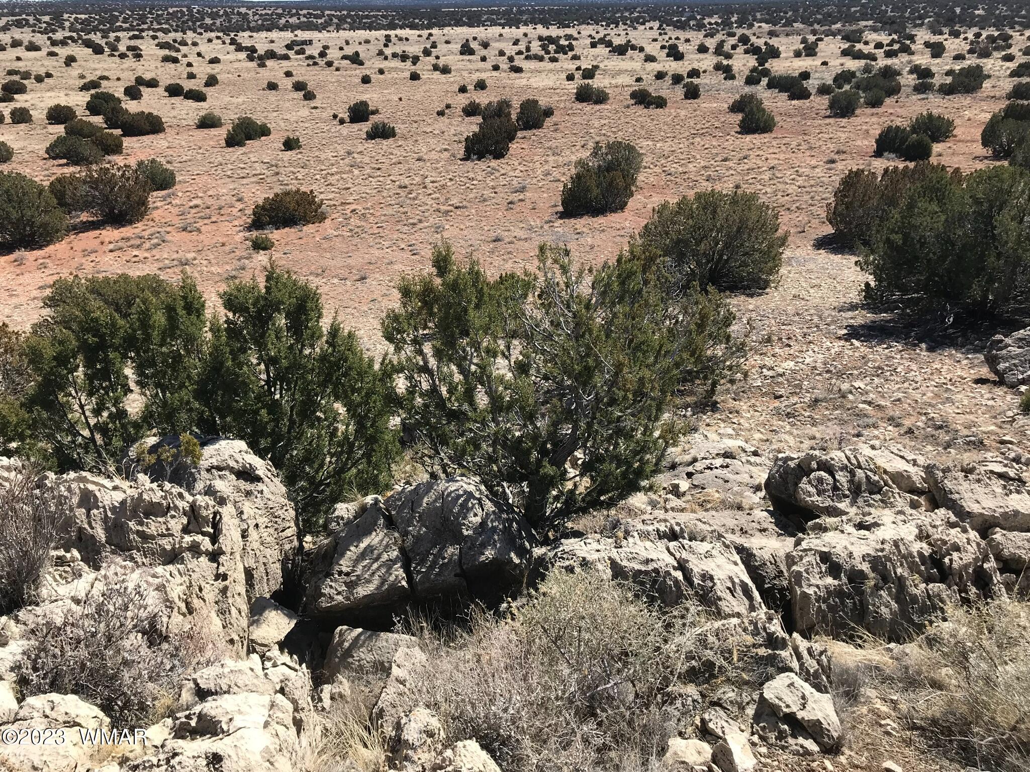 1 T14n R16e:nw4 Ne4 Heber, AZ 85928 - Photo 4 of 18