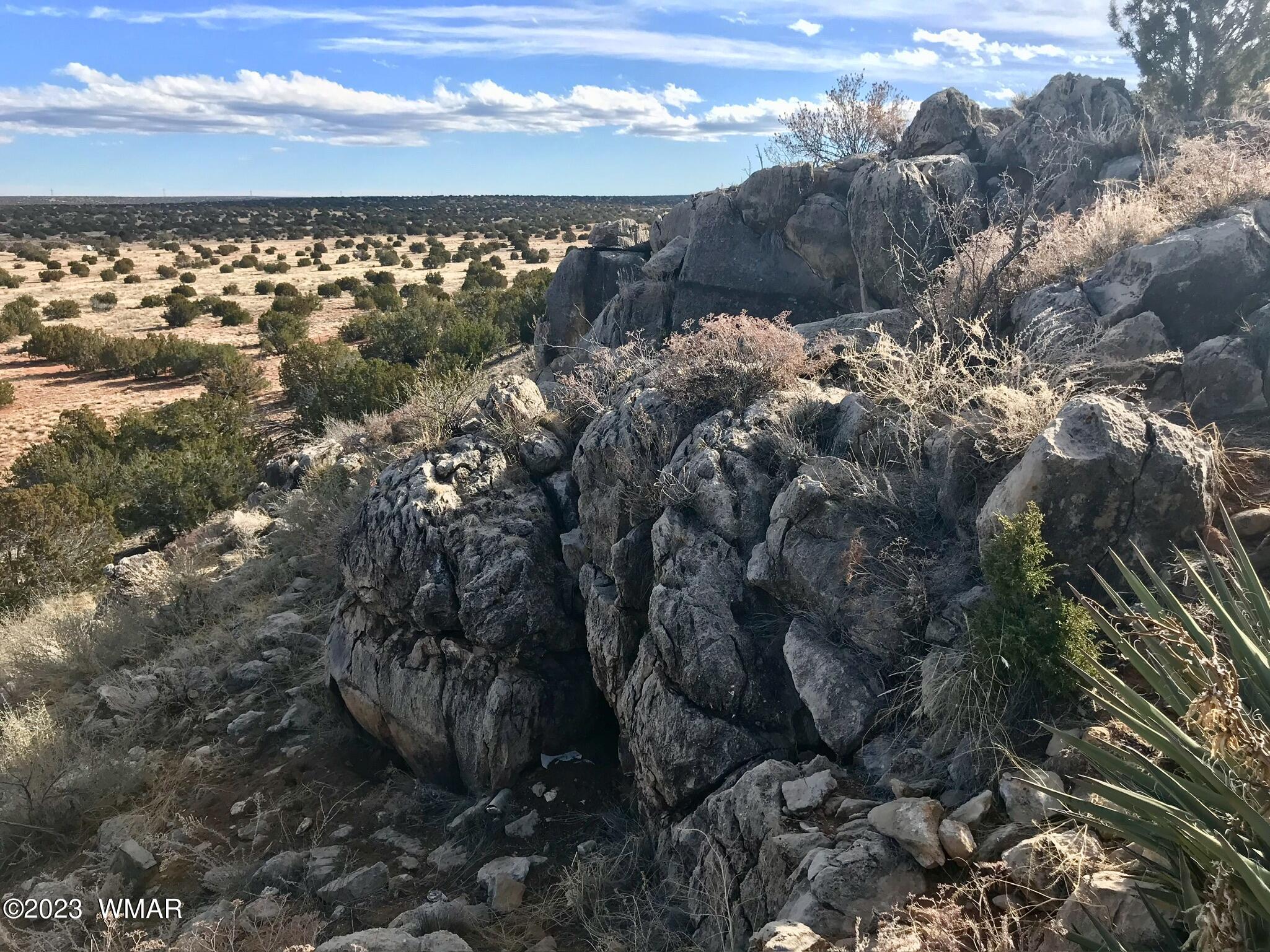 1 T14n R16e:nw4 Ne4 Heber, AZ 85928 - Photo 6 of 18