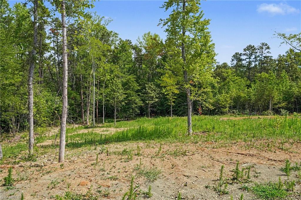 1 Pineville Road Mocksville, NC 27028 - Photo 8 of 20