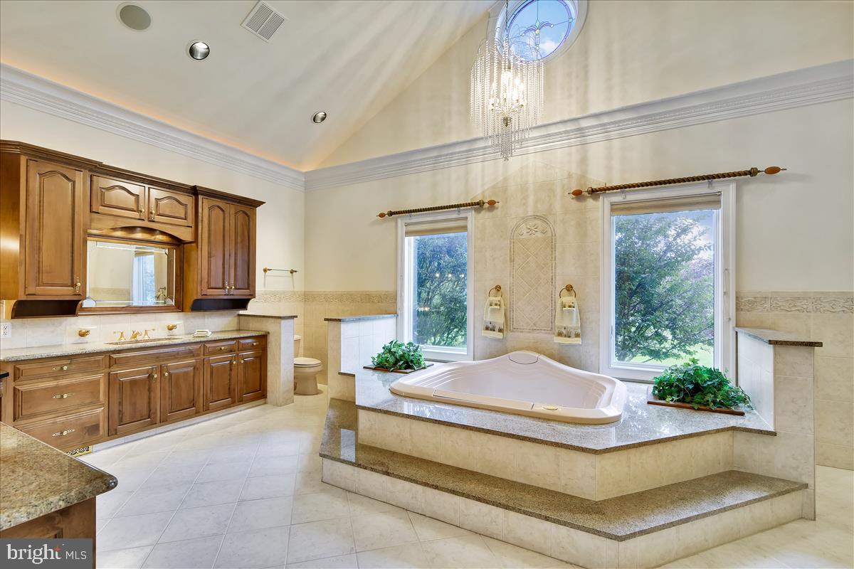 40887 Robin Circle Leesburg, VA 20175 - Photo 31 of 100 Luxurious owners' bath with jetted tub