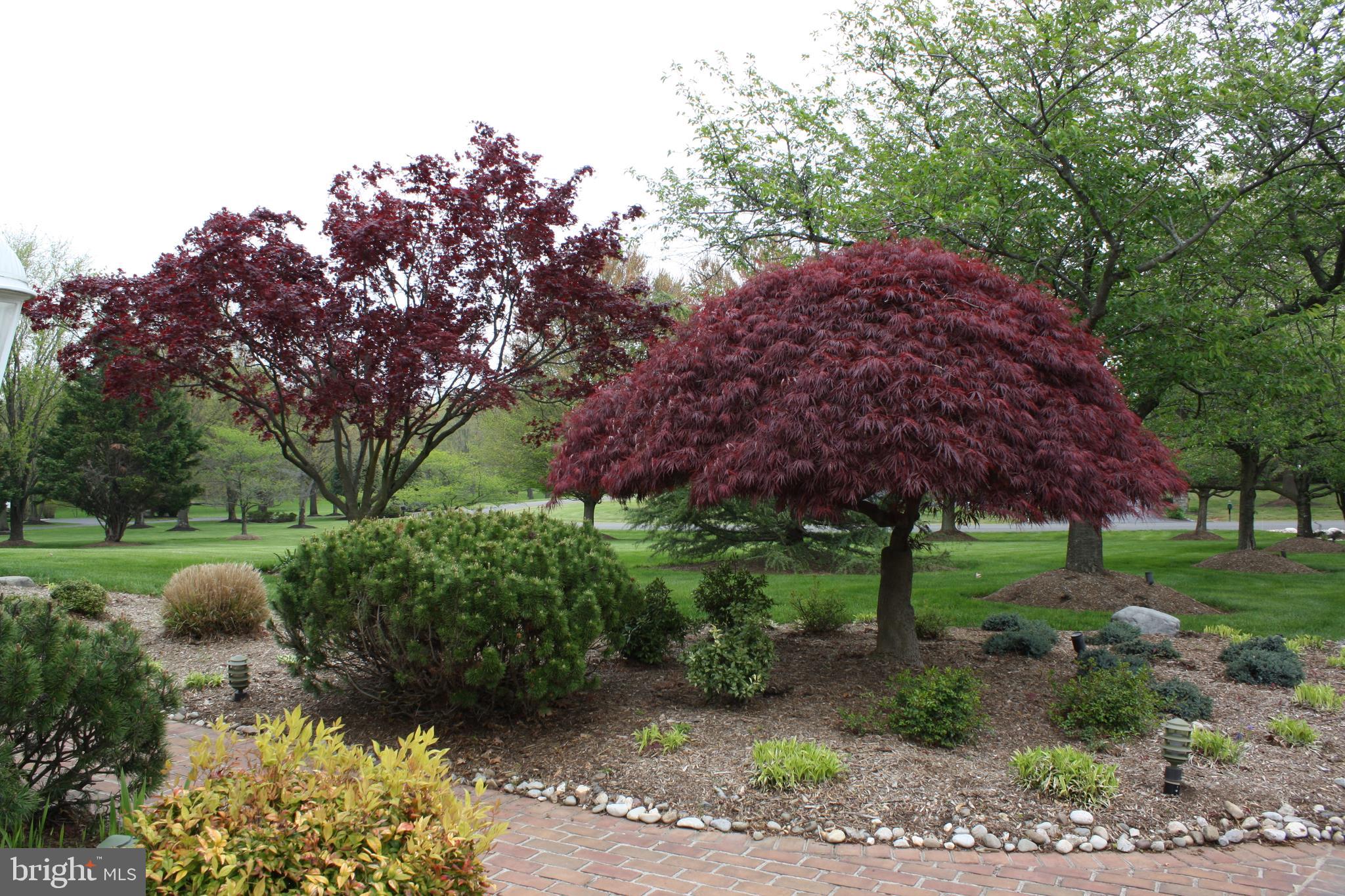40887 Robin Circle Leesburg, VA 20175 - Photo 86 of 100 Professionally maintained landscaping