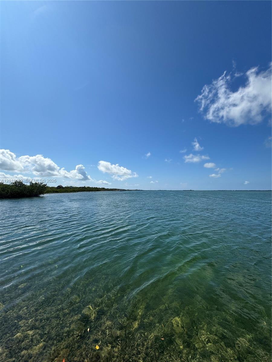 4276 Dorn Road Summerland Key, FL 33042 - Photo 20 of 23 a view of a lake from a yard